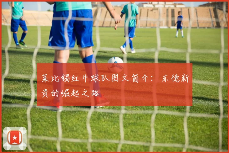 莱比锡红牛球队图文简介：东德新贵的崛起之路