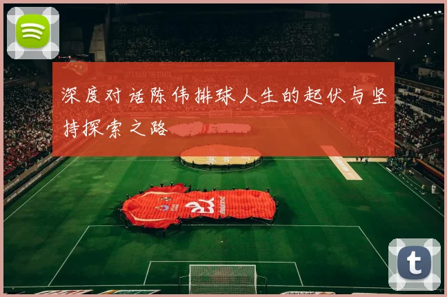 深度对话陈伟排球人生的起伏与坚持探索之路