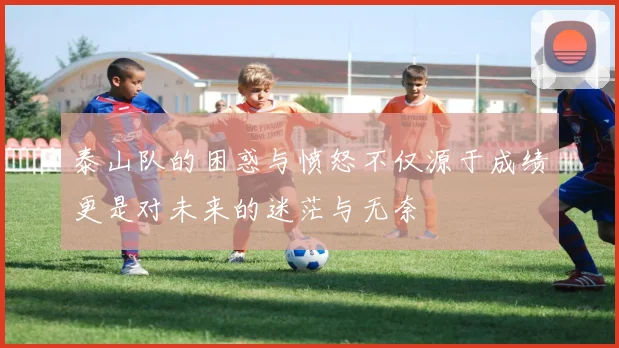泰山队的困惑与愤怒不仅源于成绩更是对未来的迷茫与无奈